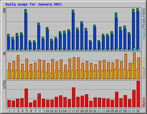 Daily usage for January 2011