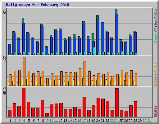 Daily usage for February 2013