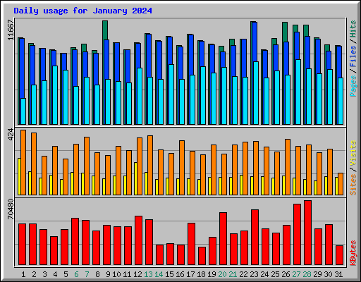 Daily usage for January 2024