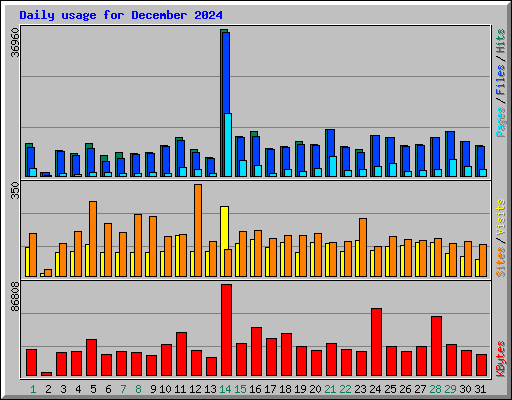 Daily usage for December 2024