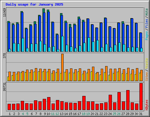 Daily usage for January 2025