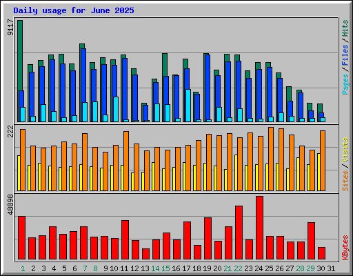 Daily usage for June 2025