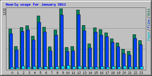 Hourly usage for January 2011