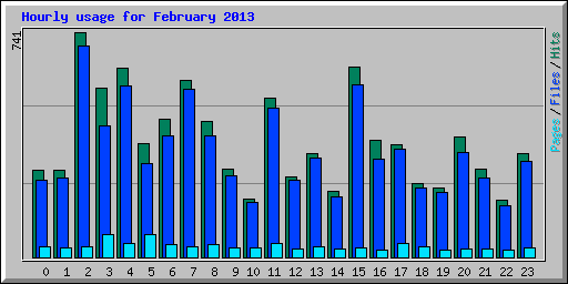 Hourly usage for February 2013