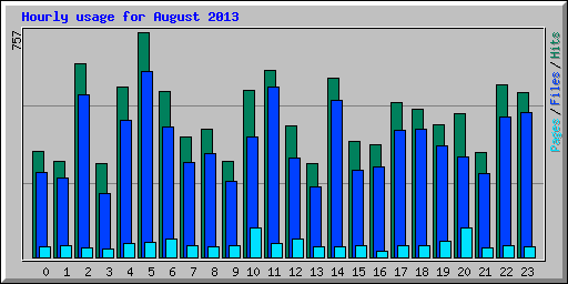 Hourly usage for August 2013