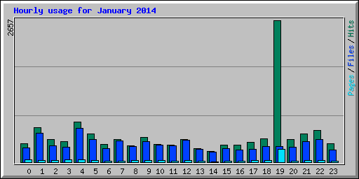 Hourly usage for January 2014