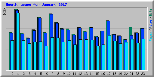 Hourly usage for January 2017