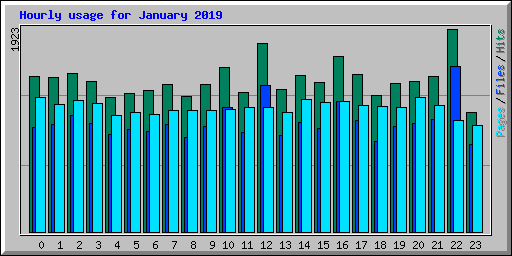 Hourly usage for January 2019