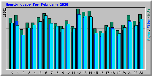 Hourly usage for February 2020