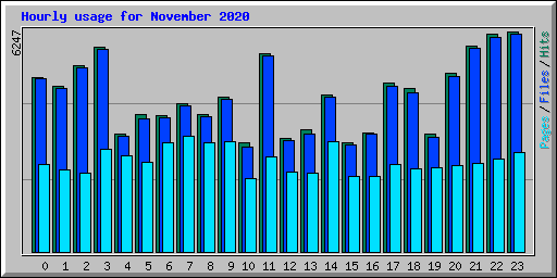 Hourly usage for November 2020