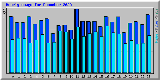 Hourly usage for December 2020