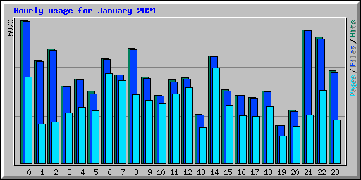 Hourly usage for January 2021