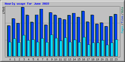 Hourly usage for June 2022