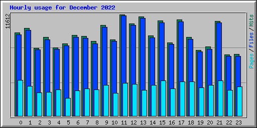 Hourly usage for December 2022