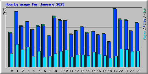 Hourly usage for January 2023