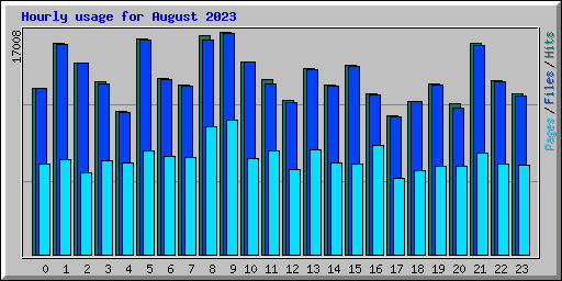 Hourly usage for August 2023
