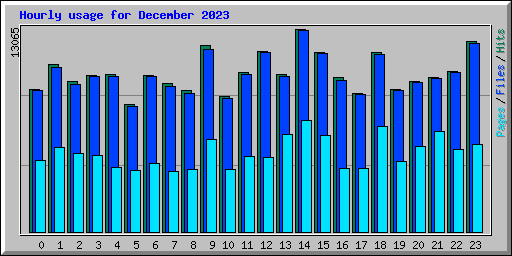 Hourly usage for December 2023