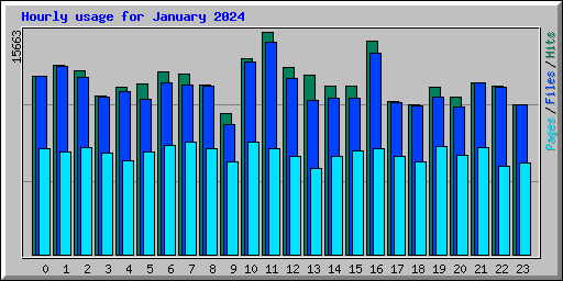 Hourly usage for January 2024