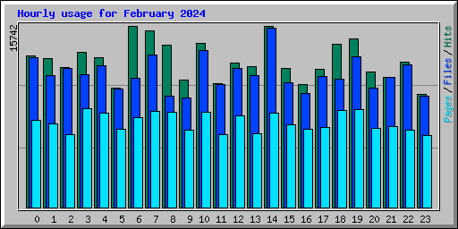 Hourly usage for February 2024