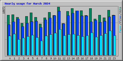 Hourly usage for March 2024