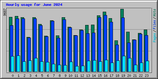 Hourly usage for June 2024
