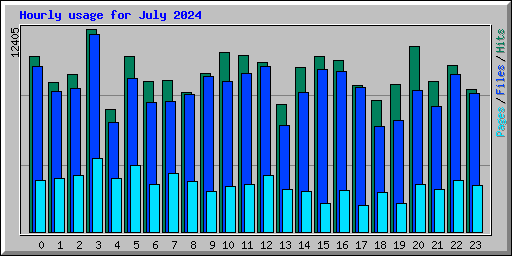 Hourly usage for July 2024