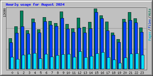 Hourly usage for August 2024
