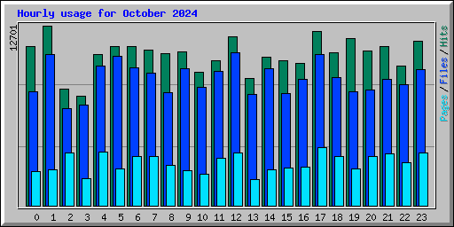 Hourly usage for October 2024