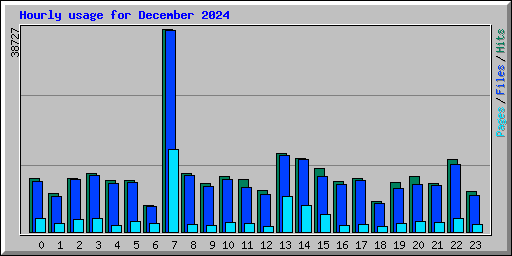 Hourly usage for December 2024