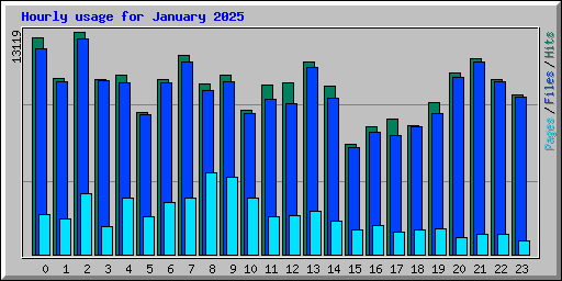 Hourly usage for January 2025
