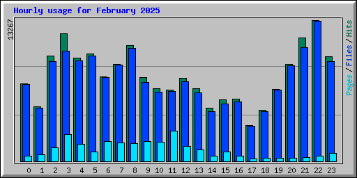 Hourly usage for February 2025