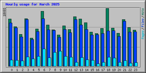 Hourly usage for March 2025