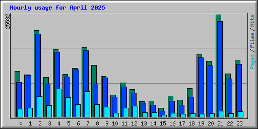 Hourly usage for April 2025