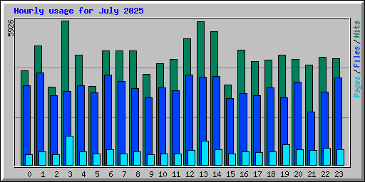 Hourly usage for July 2025