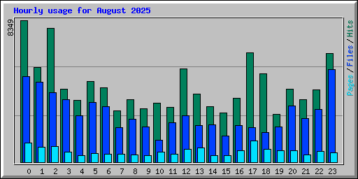 Hourly usage for August 2025