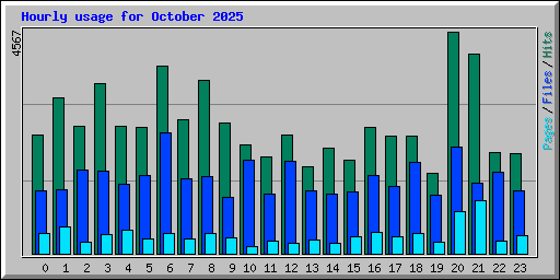 Hourly usage for October 2025