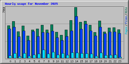 Hourly usage for November 2025
