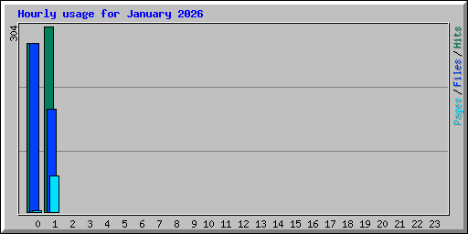Hourly usage for January 2026
