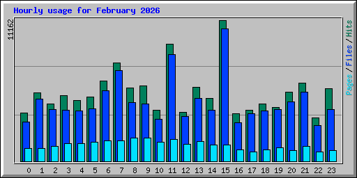 Hourly usage for February 2026