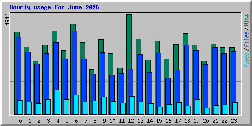 Hourly usage for June 2026