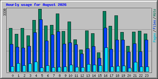 Hourly usage for August 2026